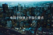 电鸽子快速上手指引要点