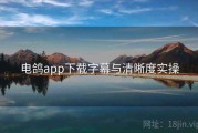 电鸽app下载字幕与清晰度实操