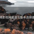妖精影视网渠道与版本选择建议