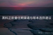 黑料正能量往期渠道与版本选择建议