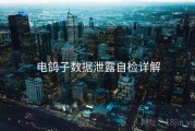 电鸽子数据泄露自检详解