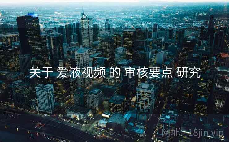 关于 爱液视频 的 审核要点 研究