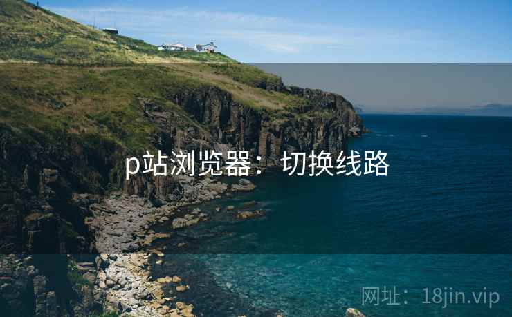 p站浏览器：切换线路