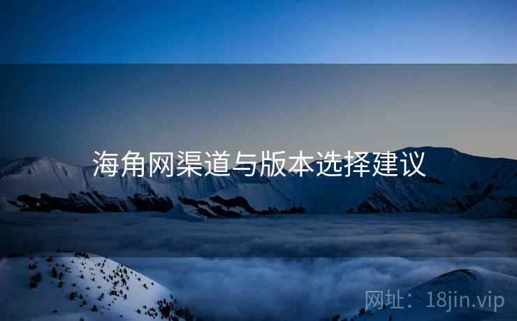 海角网渠道与版本选择建议