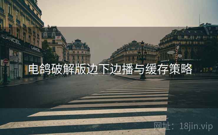 电鸽破解版边下边播与缓存策略