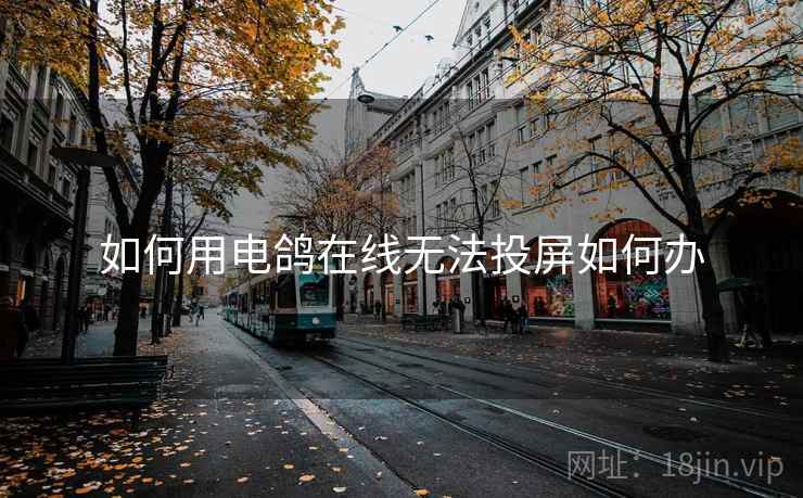 如何用电鸽在线无法投屏如何办