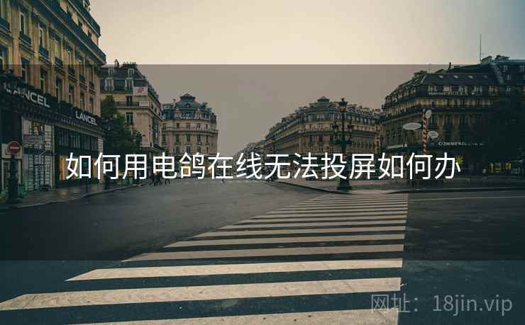 如何用电鸽在线无法投屏如何办