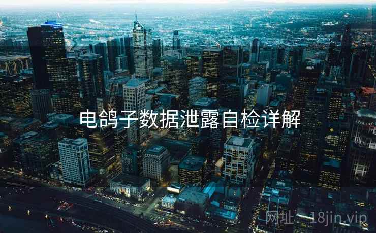 电鸽子数据泄露自检详解