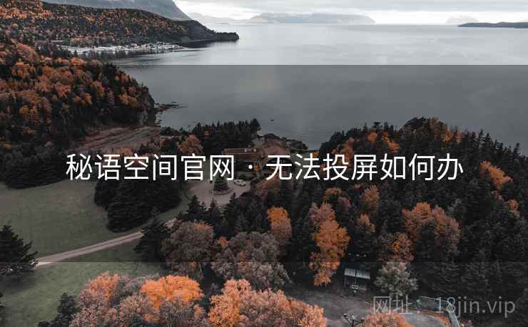 秘语空间官网 · 无法投屏如何办
