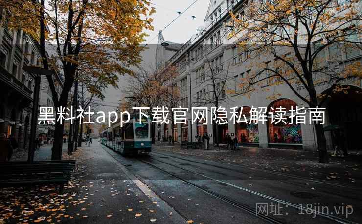 黑料社app下载官网隐私解读指南
