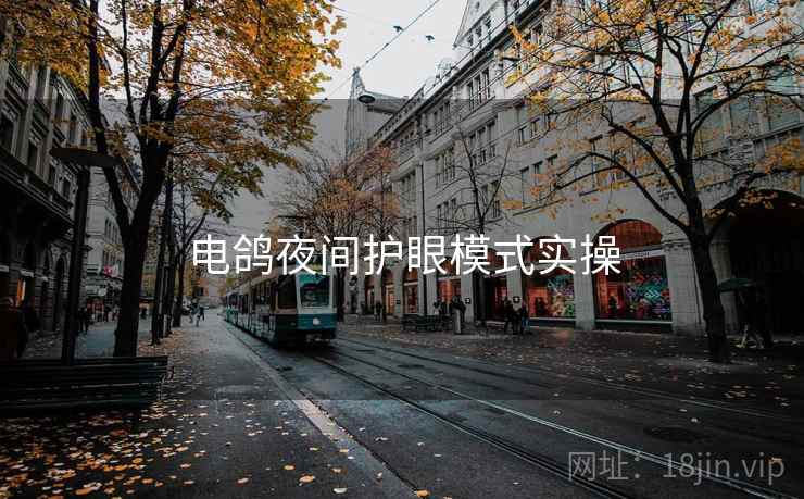 电鸽夜间护眼模式实操