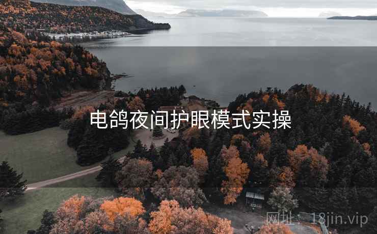 电鸽夜间护眼模式实操