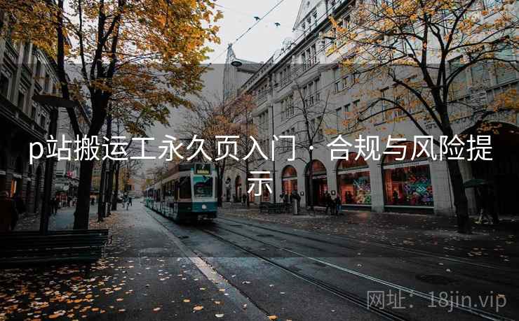 p站搬运工永久页入门 · 合规与风险提示