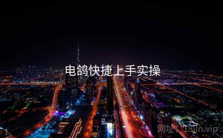电鸽快捷上手实操