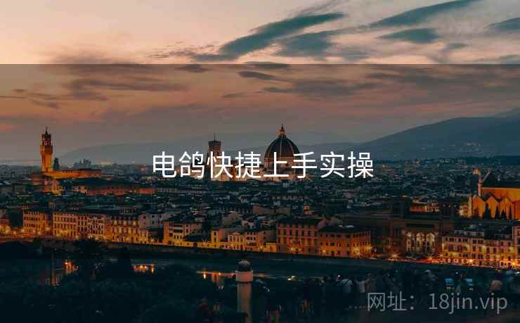 电鸽快捷上手实操