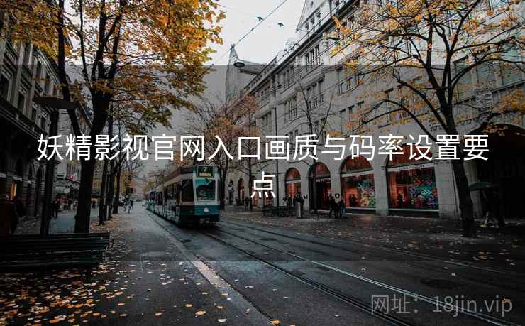 妖精影视官网入口画质与码率设置要点