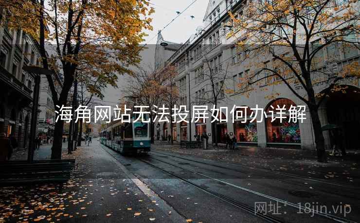 海角网站无法投屏如何办详解