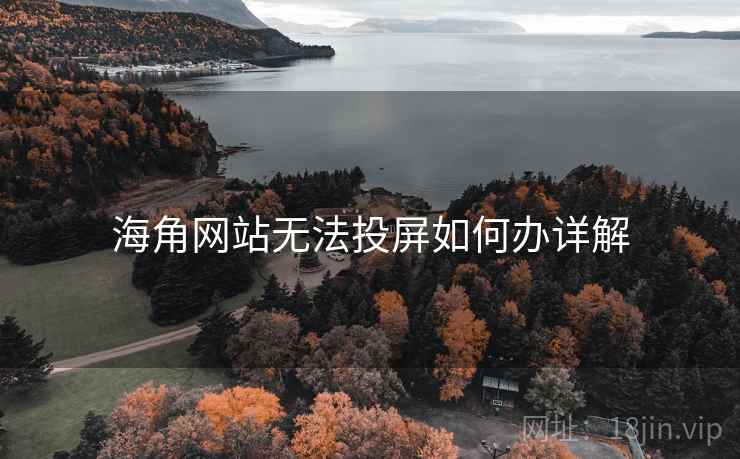 海角网站无法投屏如何办详解