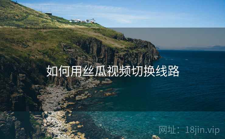 如何用丝瓜视频切换线路