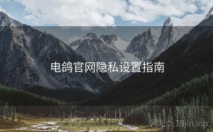 电鸽官网隐私设置指南