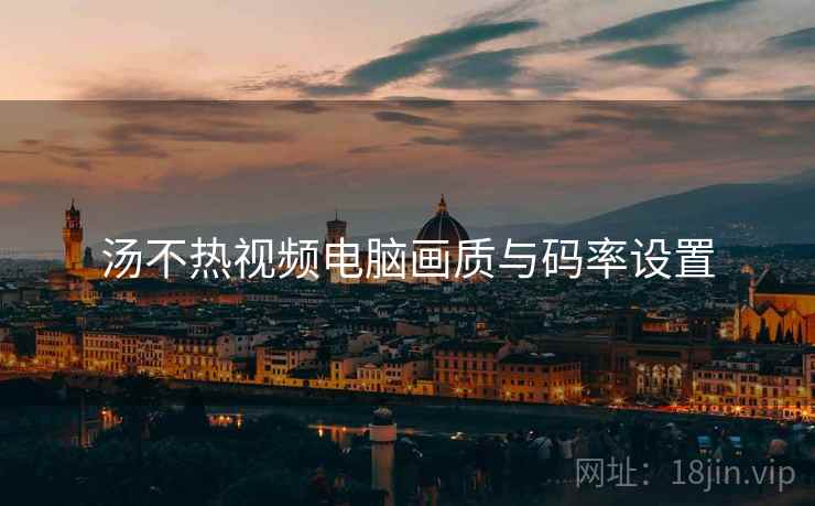 汤不热视频电脑画质与码率设置