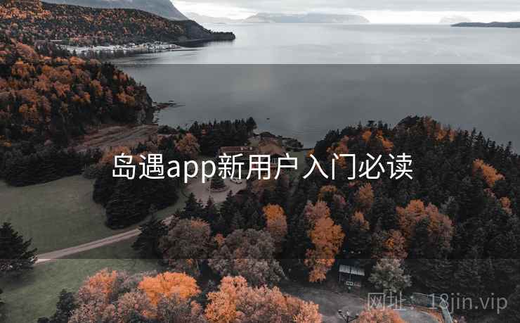 岛遇app新用户入门必读
