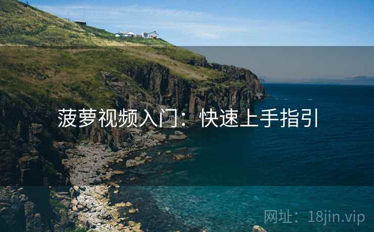 菠萝视频入门：快速上手指引