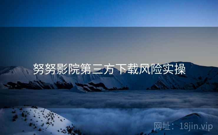 努努影院第三方下载风险实操