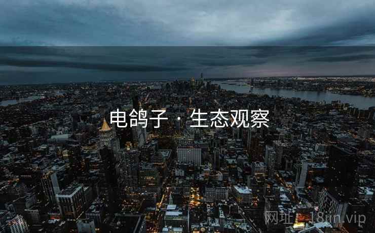电鸽子 · 生态观察