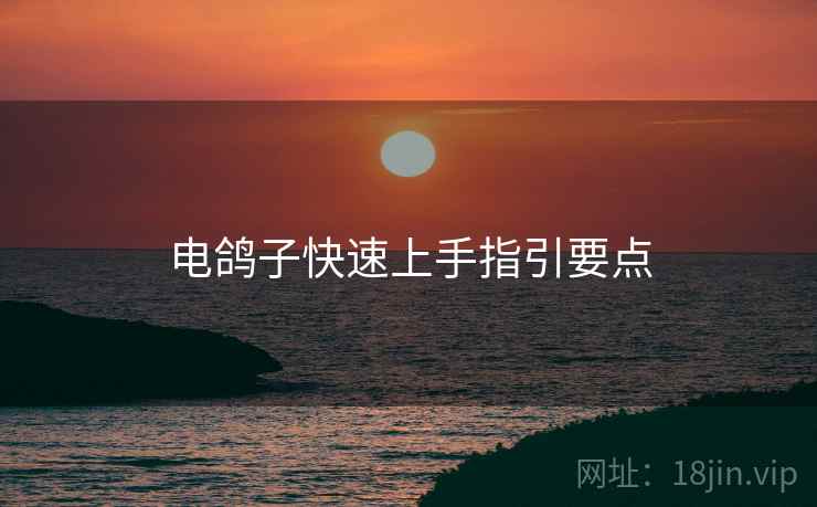 电鸽子快速上手指引要点