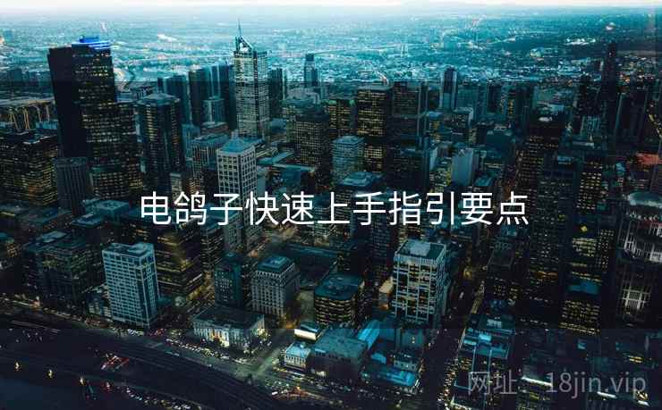 电鸽子快速上手指引要点