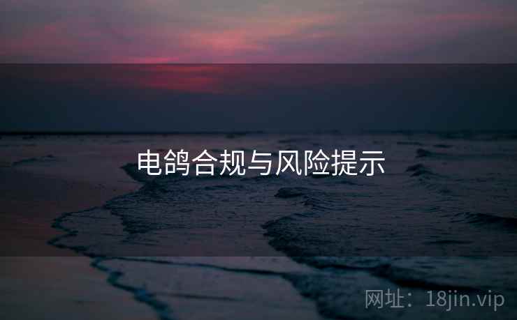 电鸽合规与风险提示