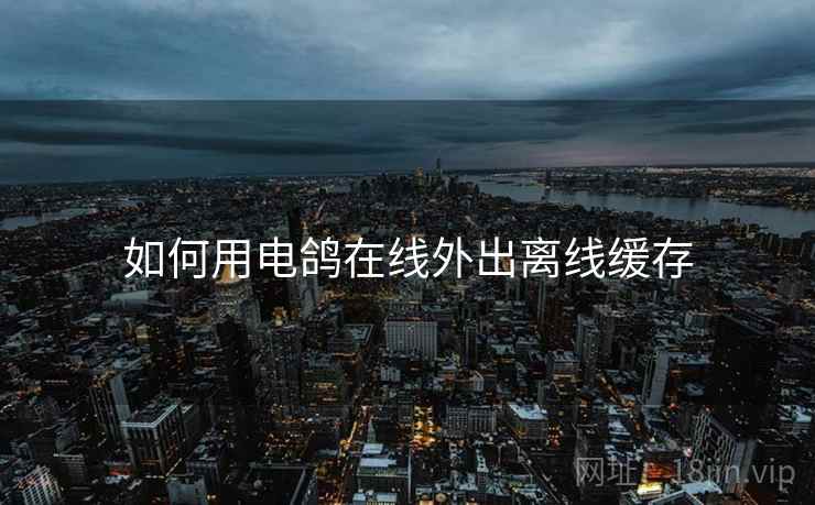如何用电鸽在线外出离线缓存
